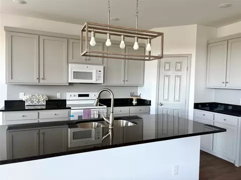1015 Springview Ln, Mabank, TX 75147 photo 3