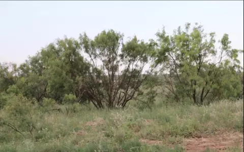300 County Road 232, Rotan, TX 79546