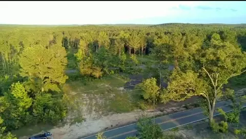 0 Old Plain Dealing Rd, Plain Dealing, LA 71064 photo 3
