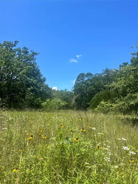 tbd Fm 39, Groesbeck, TX 76642