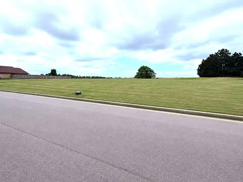 lot77 78 Dela Cruz Dr, Winnsboro, TX 75494