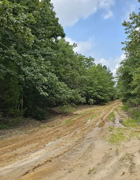 tbd Cristine St, Blossom, TX 75416
