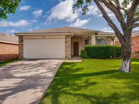 8821 Chisholm Trl, Cross Roads, TX 76227
