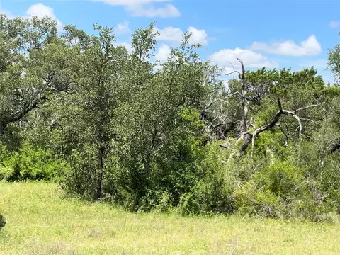 tbd W Fm 2486, Gustine, TX 76455 photo 20