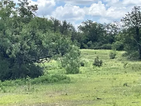 tbd W Fm 2486, Gustine, TX 76455 photo 25