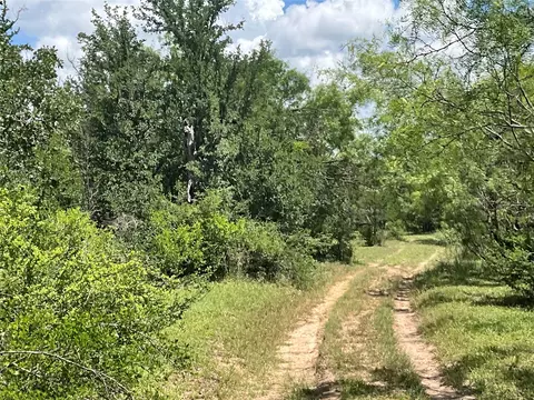 tbd W Fm 2486, Gustine, TX 76455 photo 36