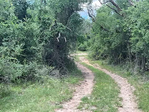 tbd W Fm 2486, Gustine, TX 76455 photo 5