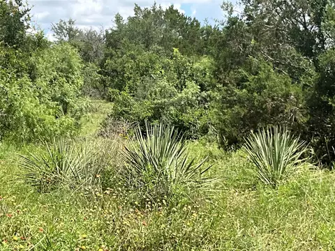 tbd W Fm 2486, Gustine, TX 76455 photo 3