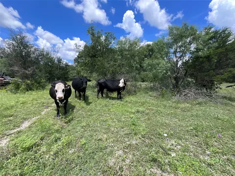 tbd W Fm 2486, Gustine, TX 76455 photo 12