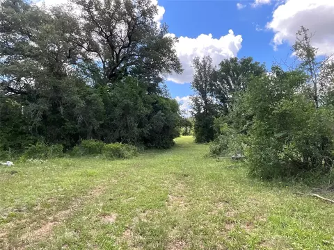 tbd W Fm 2486, Gustine, TX 76455 photo 2