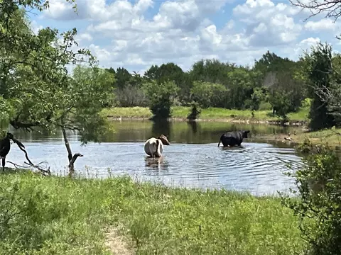 tbd W Fm 2486, Gustine, TX 76455 photo 14