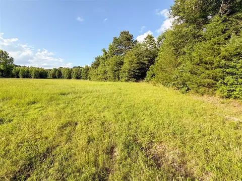 Other - 9822 Nasturtium Rd, Ore City, TX 75683 photo 5 of 9