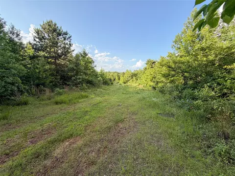 Other - 9822 Nasturtium Rd, Ore City, TX 75683 photo 4 of 9