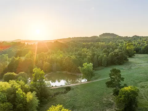 View/Area - 9822 Nasturtium Rd, Ore City, TX 75683 photo 4 of 11