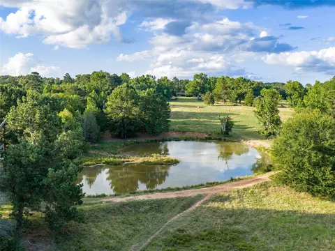 View/Area - 9822 Nasturtium Rd, Ore City, TX 75683 photo 5 of 11