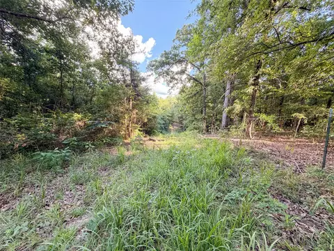 View/Area - 9822 Nasturtium Rd, Ore City, TX 75683 photo 11 of 11