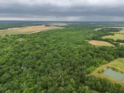 Tract 9 County Road 2158, Cooper, TX 75432