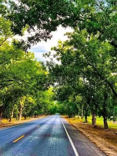 2621 Silver Leaf Ln, Anna, TX 75409