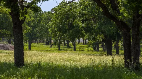 tbd County Road 126, Gordon, TX 76453