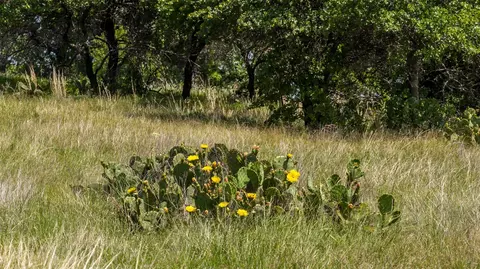 tbd County Road 126, Gordon, TX 76453