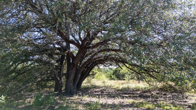 lot2 Ph 3 Pr 4218, Evant, TX 76525