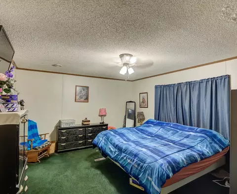 2803 Jamerson Rd, Haughton, LA 71037 photo 30
