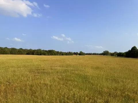 tbd County Road 2500, Eustace, TX 75124 photo 20