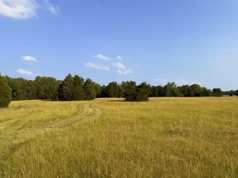 tbd County Road 2500, Eustace, TX 75124 photo 4