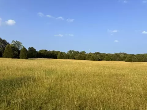 tbd County Road 2500, Eustace, TX 75124 photo 28