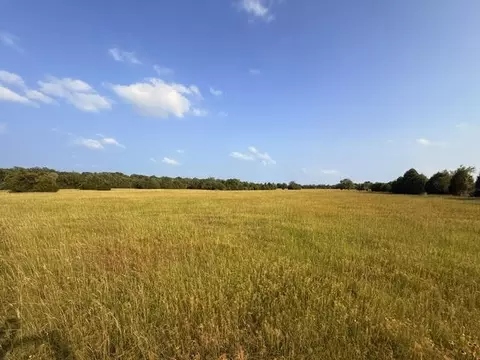 tbd County Road 2500, Eustace, TX 75124 photo 21