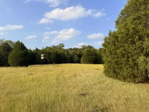 tbd County Road 2500, Eustace, TX 75124 photo 18