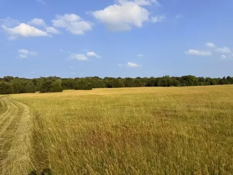 tbd County Road 2500, Eustace, TX 75124 photo 3