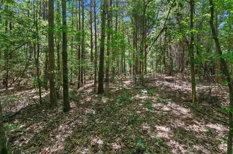 tbd County Rd 3363 #TRACT D, De Berry, TX 75639
