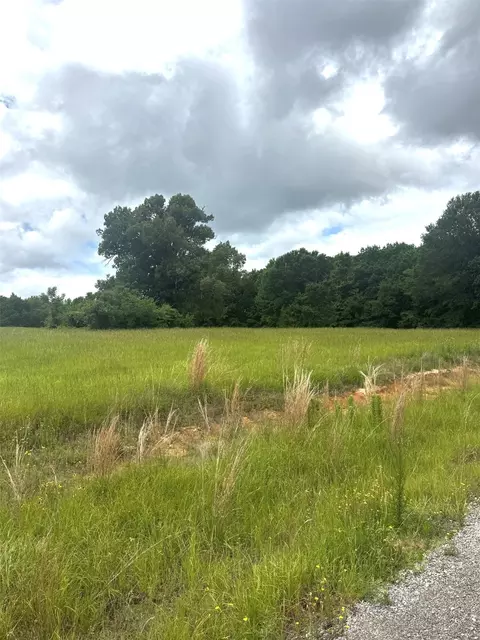 tbd Belles Ln, Brownsboro, TX 75756