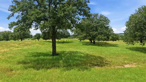Other - 7900 Highway 6, De Leon, TX 76444 photo 9 of 9