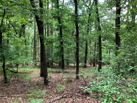 300 NE 301 Ne Misty Glen Rd, Holly Lake Ranch, TX 75765