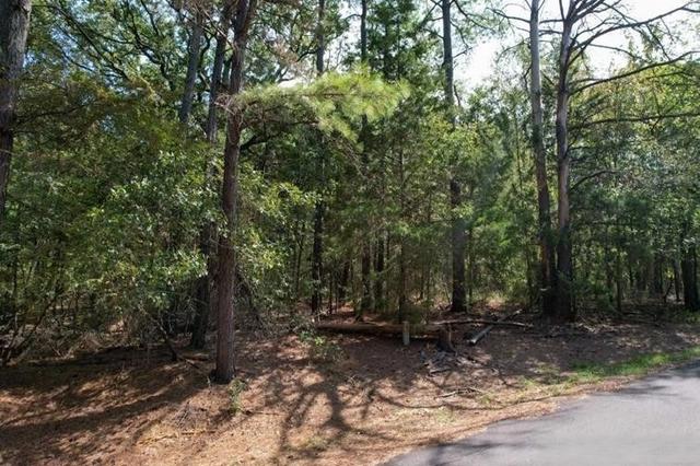 18 Angelina St, Mount Vernon, TX 75457