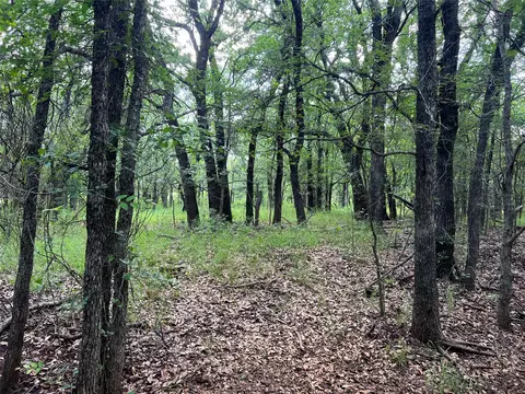 tbd County Road 137 Rd, Cisco, TX 76437
