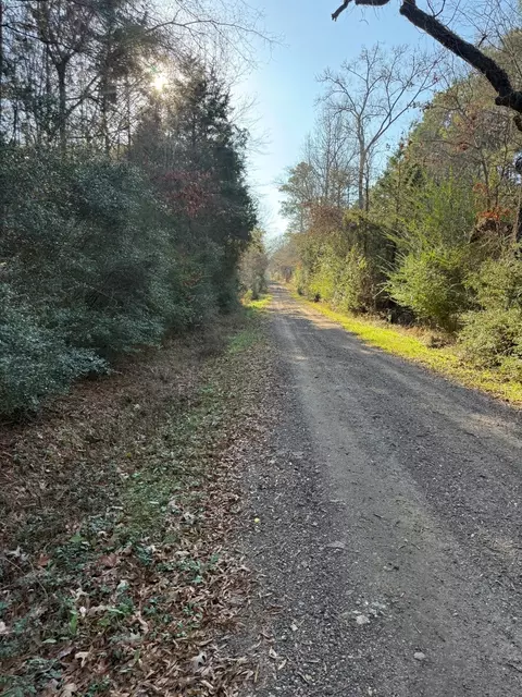 tbd D County Road 216, Beckville, TX 75631