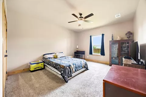 Bedroom - 3157 Fm 2194, Celeste, TX 75423 photo 4 of 4