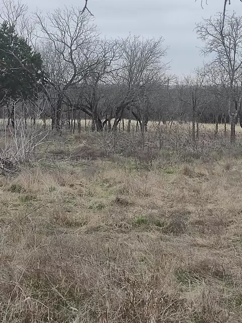 138 Pr 226 Rd, Whitney, TX 76692
