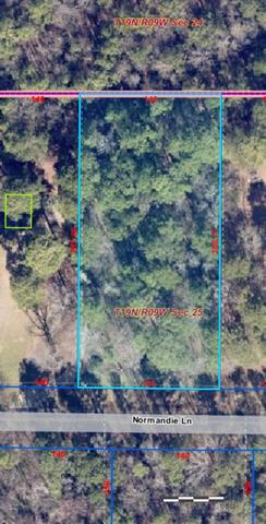 F-1 Normandie Lane, Minden, LA 71055