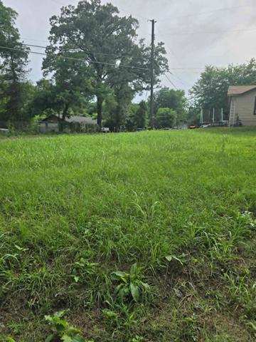 800 Webb St, Daingerfield, TX 75638
