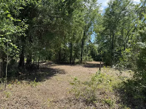 204 Kanakoa Dr, Tool, TX 75143 photo 5