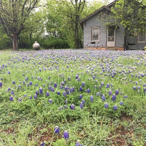 1054 Cr 3415, Clifton, TX 76634