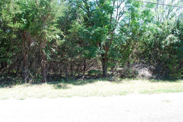 3045 Ash Ct, Whitney, TX 76692