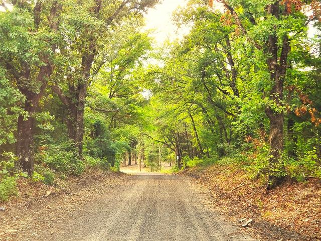 lot465 Cr-4710, Larue, TX 75770