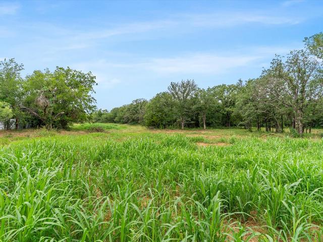 709 County Road 3355, Paradise, TX 76023