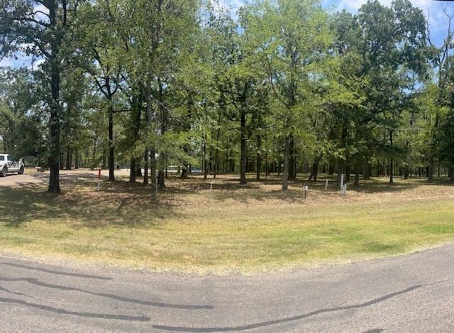 146 St Andrews Dr, Mabank, TX 75156
