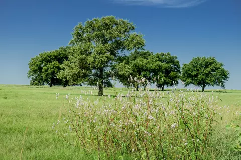 001 W Pleasant Valley Rd, Henrietta, TX 76230